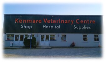 Tierklinik in Irland